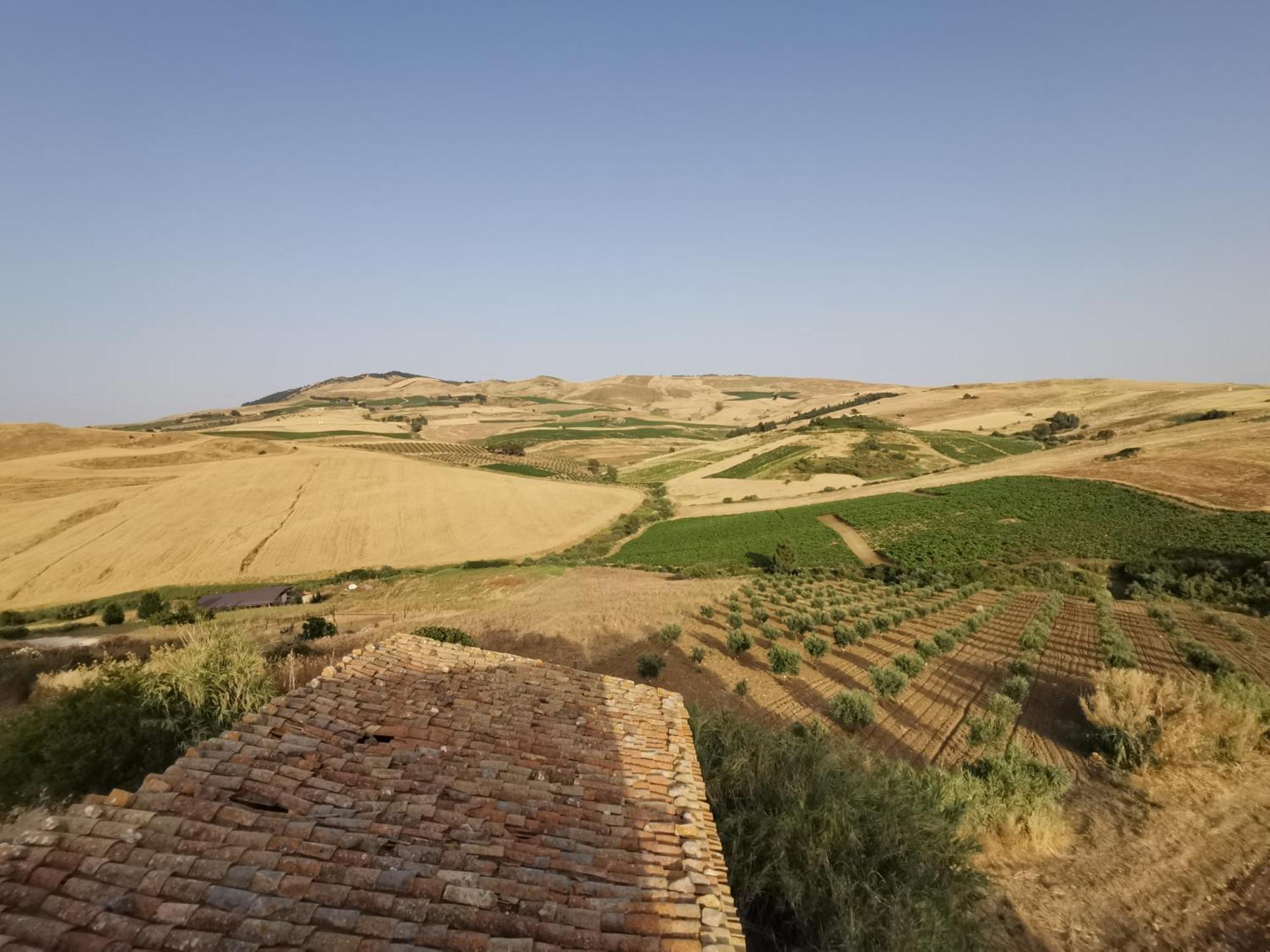 Buseto SuperioreAntico Baglio Siciliano Parecchiata别墅 外观 照片